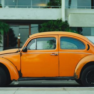 old orange beetle